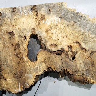 Buckeye burl slab, approx. 1260 x 580 x 55 mm, 11,79 kg, 40981