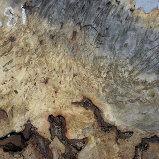 Buckeye burl slab, approx. 1260 x 580 x 55 mm, 11,79 kg, 40981