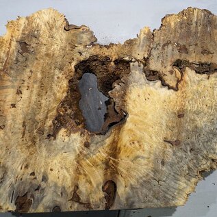 Buckeye burl slab, approx. 1260 x 580 x 55 mm, 11,79 kg, 40981