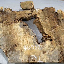 Buckeye burl slab, approx. 1330 x 540 x 55 mm, 11,97 kg, 40982