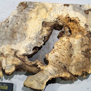 Buckeye burl slab, approx. 1330 x 540 x 55 mm, 11,97 kg, 40982