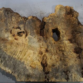 Buckeye burl slab, approx. 1220 x 560 x 55 mm, 11,39 kg, 40983