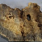 Buckeye burl slab, approx. 1220 x 560 x 55 mm, 11,39 kg, 40983