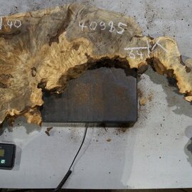 Buckeye burl slab, approx. 640/5700 x 400/150 x 55 mm, 7,2 kg, 40985