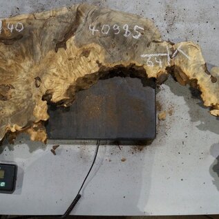 Buckeye burl slab, approx. 640/570 x 400/150 x 55 mm, 7,2 kg, 40985