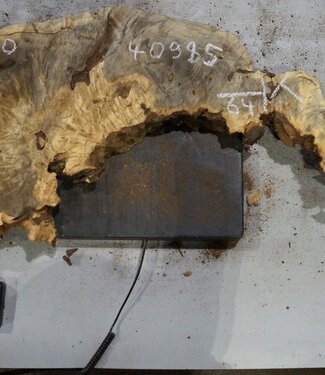Buckeye burl slab, approx. 640/570 x 400/150 x 55 mm, 7,2 kg, 40985