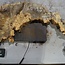 Buckeye burl slab, approx. 640/570 x 400/150 x 55 mm, 7,2 kg, 40985