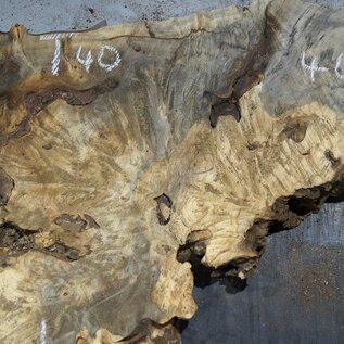 Buckeye burl slab, approx. 640/5700 x 400/150 x 55 mm, 7,2 kg, 40985