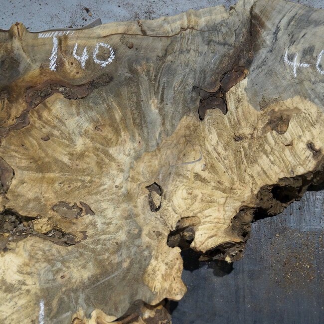 Buckeye Maser, ca. 640/570 x 400/150 x 55 mm, 7,2 kg, 40985