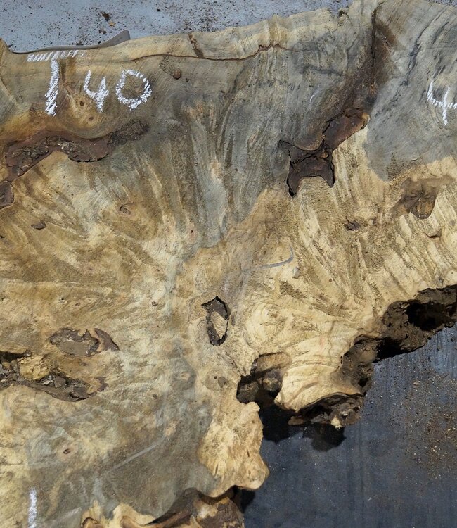 Buckeye Maser, ca. 640/570 x 400/150 x 55 mm, 7,2 kg, 40985