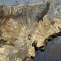 Buckeye burl slab, approx. 640/570 x 400/150 x 55 mm, 7,2 kg, 40985
