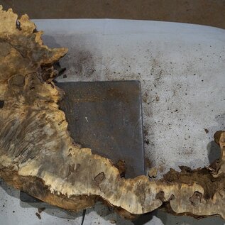 Buckeye burl slab, approx. 640/570 x 400/150 x 55 mm, 7,2 kg, 40985
