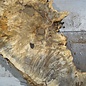 Buckeye burl slab, approx. 640/570 x 400/150 x 55 mm, 7,2 kg, 40985