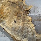 Buckeye burl slab, approx. 640/5700 x 400/150 x 55 mm, 7,2 kg, 40985