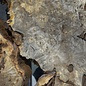 Buckeye burl slab, approx. 1250 x 650 x 55 mm, 10,02 kg, 40986