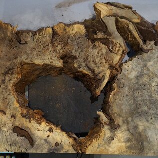 Buckeye burl slab, approx. 1250 x 650 x 55 mm, 10,02 kg, 40986