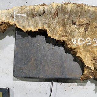 Buckeye burl slab, approx. 810 x 320 x 55 mm, 6,62 kg, 40991