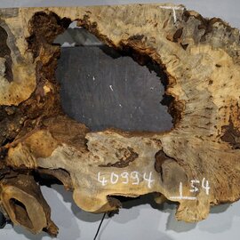 Buckeye burl slab, approx. 1010 x 540 x 55 mm, 8,26 kg, 40994