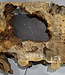 Buckeye burl slab, approx. 1010 x 540 x 55 mm, 8,26 kg, 40994