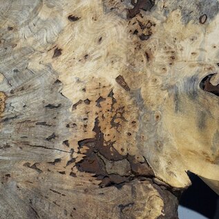 Buckeye burl slab, approx. 1010 x 540 x 55 mm, 8,26 kg, 40994