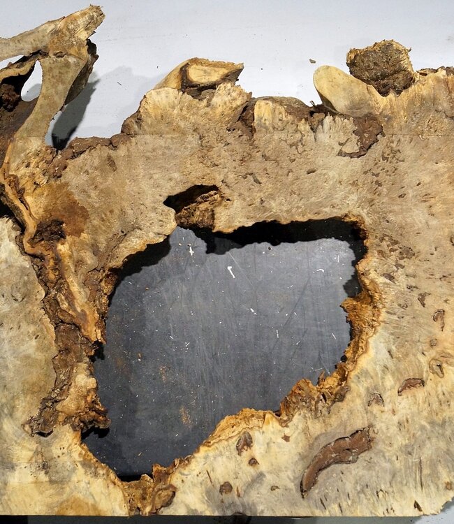 Buckeye burl slab, approx. 1010 x 540 x 55 mm, 8,26 kg, 40994
