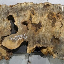 Buckeye burl slab, approx. 1220 x 460 x 55 mm, 10,93 kg, 40996