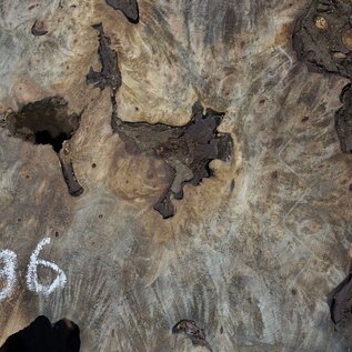 Buckeye burl slab, approx. 1220 x 460 x 55 mm, 10,93 kg, 40996