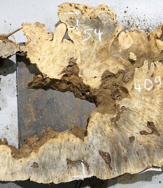 Buckeye burl slab, approx. 1140 x 540 x 55 mm, 8,75 kg, 40997