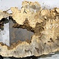 Buckeye burl slab, approx. 1140 x 540 x 55 mm, 8,75 kg, 40997