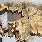 Buckeye burl slab, approx. 1140 x 540 x 55 mm, 8,75 kg, 40997