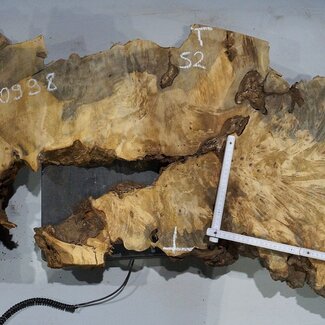 Buckeye burl slab, approx. 1420 x 520 x 55 mm, 14,56 kg, 40998