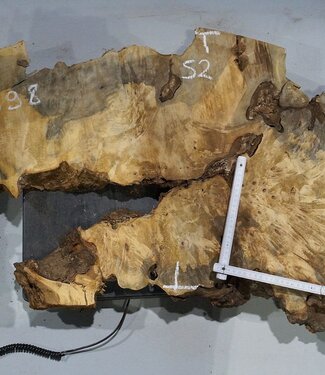 Buckeye burl slab, approx. 1420 x 520 x 55 mm, 14,56 kg, 40998