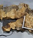 Buckeye burl slab, approx. 1420 x 520 x 55 mm, 14,56 kg, 40998