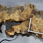 Buckeye burl slab, approx. 1420 x 520 x 55 mm, 14,56 kg, 40998