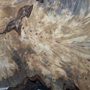 Buckeye burl slab, approx. 1420 x 520 x 55 mm, 14,56 kg, 40998