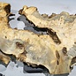 Buckeye burl slab, approx. 1420 x 520 x 55 mm, 14,56 kg, 40998