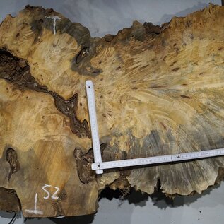 Buckeye burl slab, approx. 1510 x 520 x 55 mm, 16,19 kg, 40999