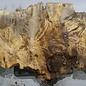 Buckeye burl slab, approx. 1510 x 520 x 55 mm, 16,19 kg, 40999