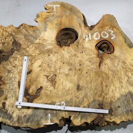 Buckeye burl slab, approx. 860 x 580 x 55 mm, 10,12 kg, 41003