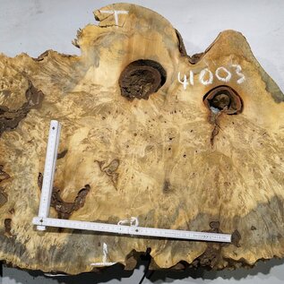 Buckeye burl slab, approx. 860 x 580 x 55 mm, 10,12 kg, 41003