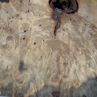 Buckeye burl slab, approx. 860 x 580 x 55 mm, 10,12 kg, 41003