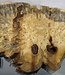 Buckeye burl slab, approx. 860 x 580 x 55 mm, 10,12 kg, 41003