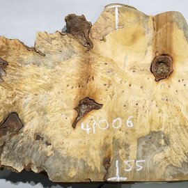 Buckeye burl slab, approx. 1280 x 550 x 55 mm, 11,43 kg, 41006