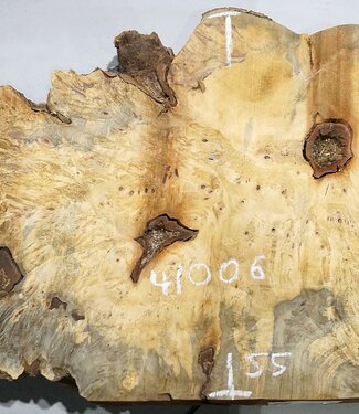 Buckeye burl slab, approx. 1280 x 550 x 55 mm, 11,43 kg, 41006