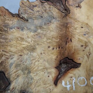 Buckeye burl slab, approx. 1280 x 550 x 55 mm, 11,43 kg, 41006