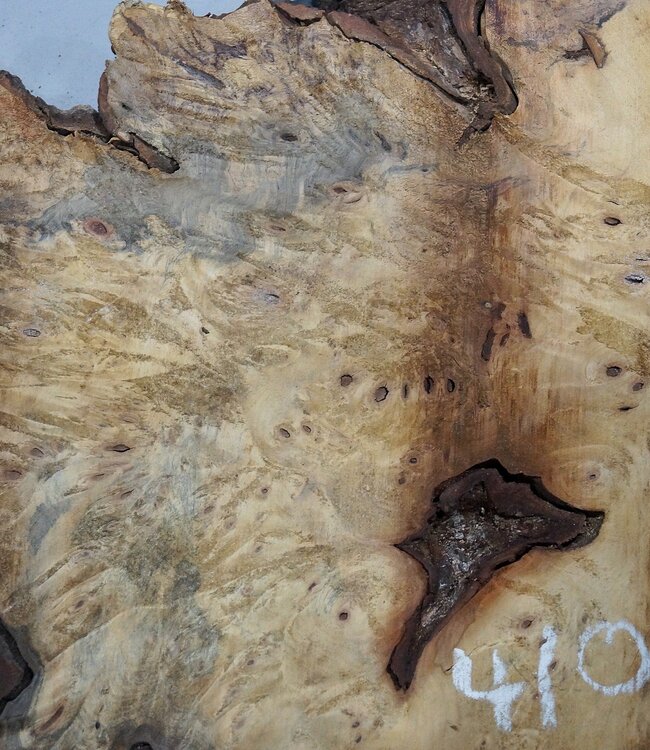 Buckeye burl slab, approx. 1280 x 550 x 55 mm, 11,43 kg, 41006