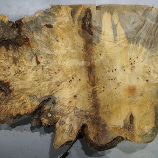 Buckeye burl slab, approx. 1280 x 550 x 55 mm, 11,43 kg, 41006