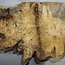 Buckeye burl slab, approx. 1280 x 550 x 55 mm, 11,43 kg, 41006
