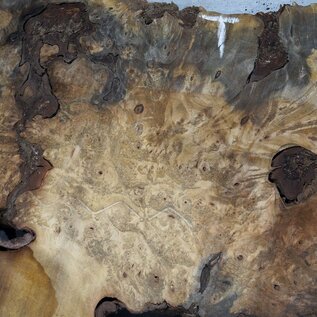 Buckeye burl slab, approx. 890 x 550 x 55 mm, 8,53 kg, 41008