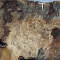 Buckeye burl slab, approx. 890 x 550 x 55 mm, 8,53 kg, 41008